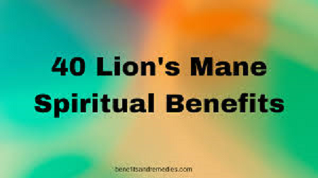 Lions-Mane-Spiritual-Benefits