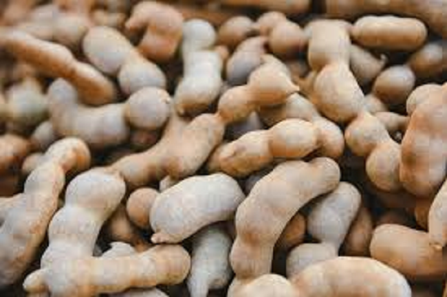 Sweet-Tamarind-Fruit-image