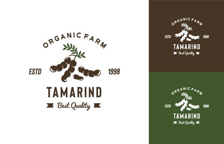 Sweet-Tamarind-Fruit